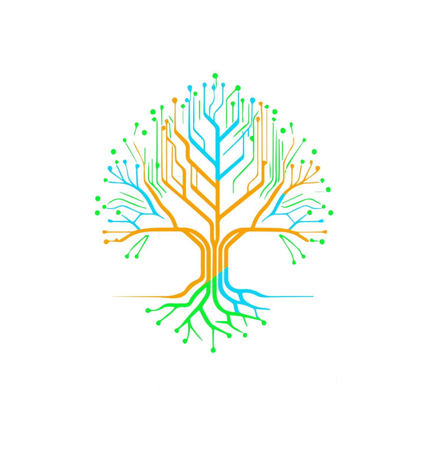 Blooming Namu Technology Consulting Inc.